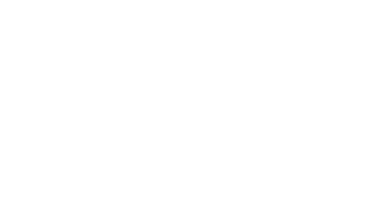 JAL ホノルルマラソン 2015